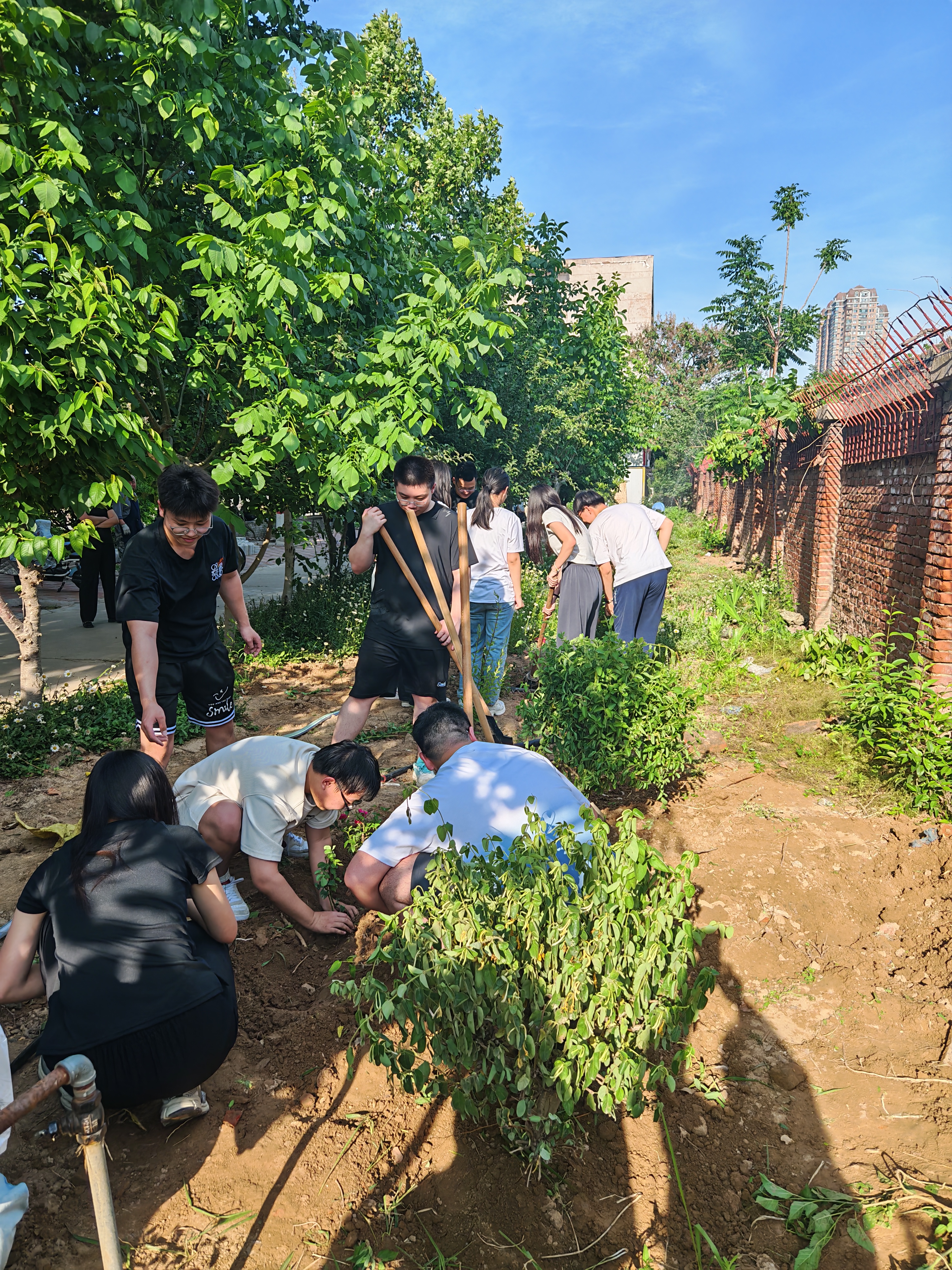 1747732731659005638.jpg 6.jpg